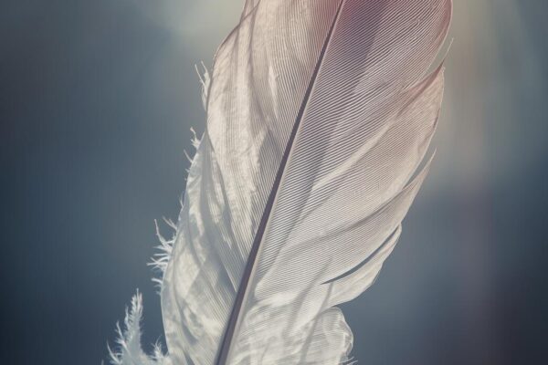 Eppure gli Angeli esistono