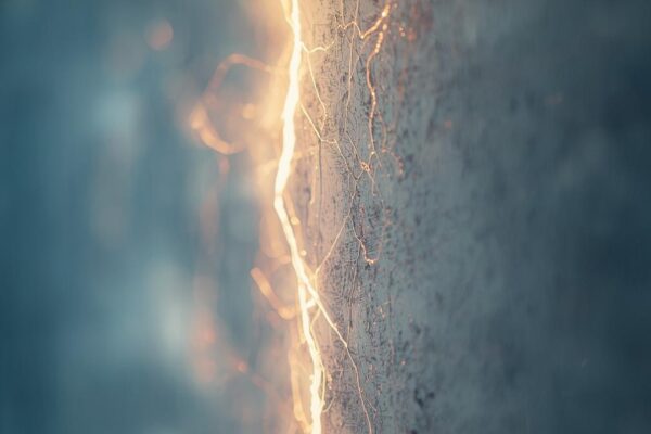 La corazza: quando la protezione diventa prigione